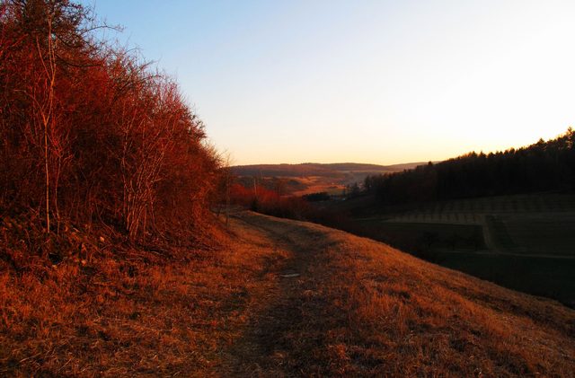 Am Westhang des Frauenbergs