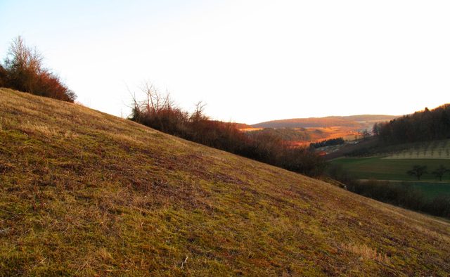 Am Westhang des Frauenbergs