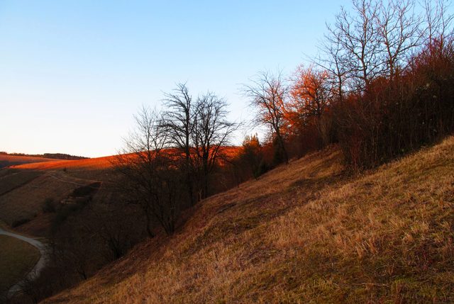 Am Westhang des Frauenbergs