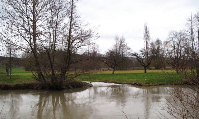 Die Abzweigung der Fischaufstiegshilfe beim Hochhäuser Tauberwehr