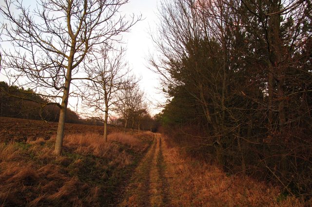 Zwischen Großholz und Setz