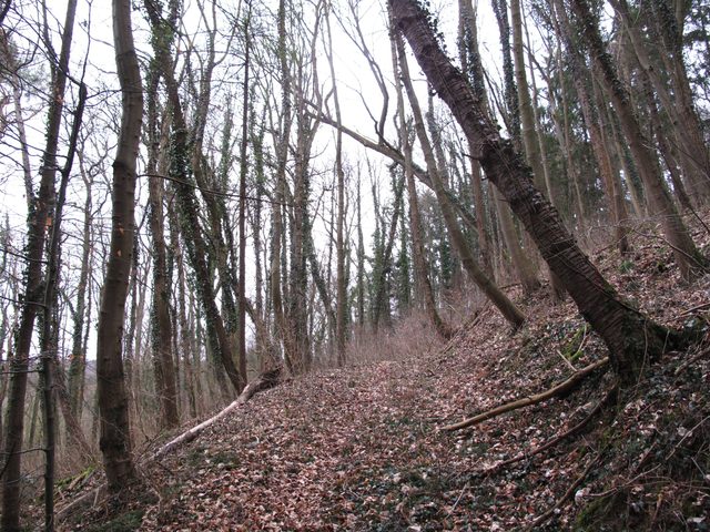 Auf einem alten Weg vom Taubertal (beim ehem. Wallgraben) auf den Schloßberg (zum Kutschenbau)