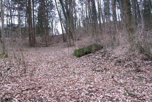 Auf alten Wegen am bewaldeten Nordhang des Schlossbergs (unterhalb der Gamburg)
