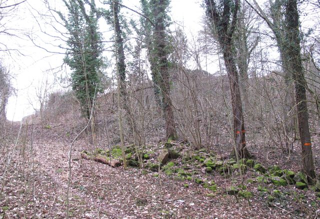 Der Beginn eines alten Weges als Abzweigung vom Burgweg direkt beim ehem. Kutschenbau der Gamburg (Nordhang des Schlossbergs)