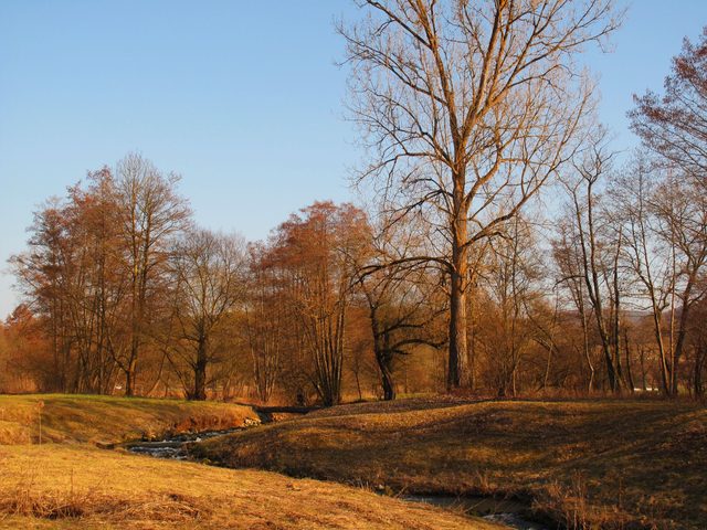 Die Fischaufstiegshilfe am Tauberwehr bei der Eulschirben-Mühle