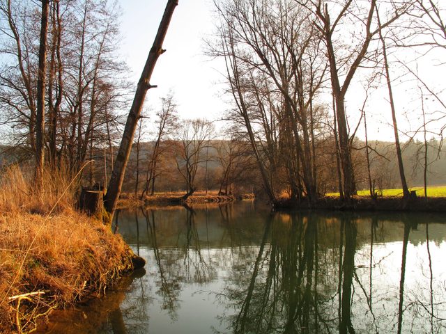 Die Tauber kurz vor der Eulschirben-Mühle