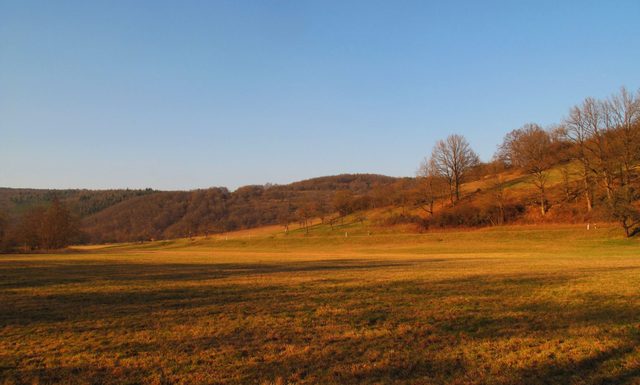 Die Tauber zwischen Eulschirben-Mühle und Gamburg