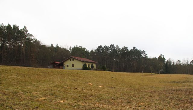 Auf dem Osterberg, kurz vorm Pfarrer-Heinrich-Weber-Haus (1997)