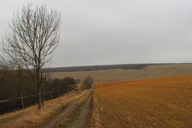 Auf dem Grasberg