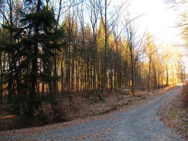 Otterrain - Eichholz
