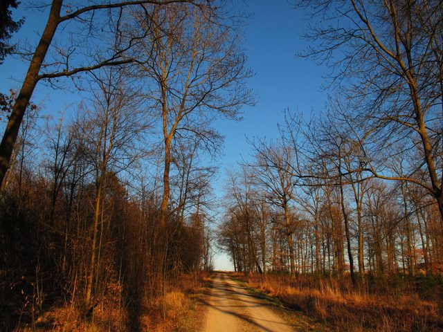 Eichholz - Neugereut