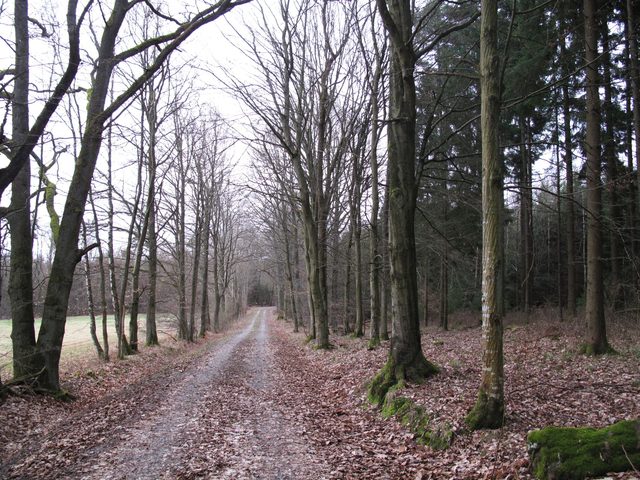 Hohenbirkel