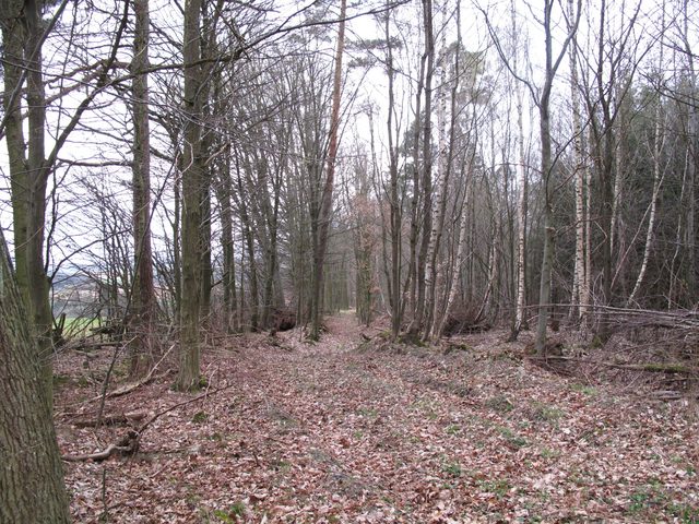 An der Abzweigung eines alten Weges nach Tiefental