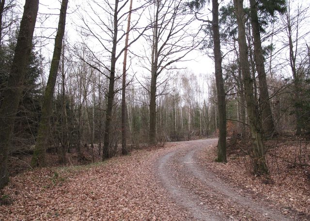 An der Abzweigung eines alten Weges nach Tiefental