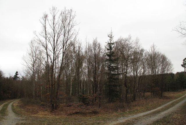 Hohenbirkel