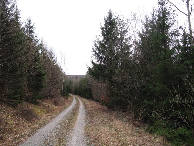 Hohenbirkel