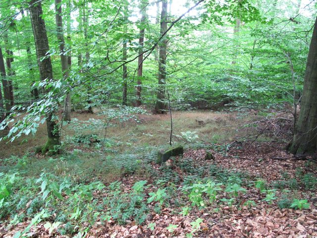 Wolfsgrube (Hohleiche)