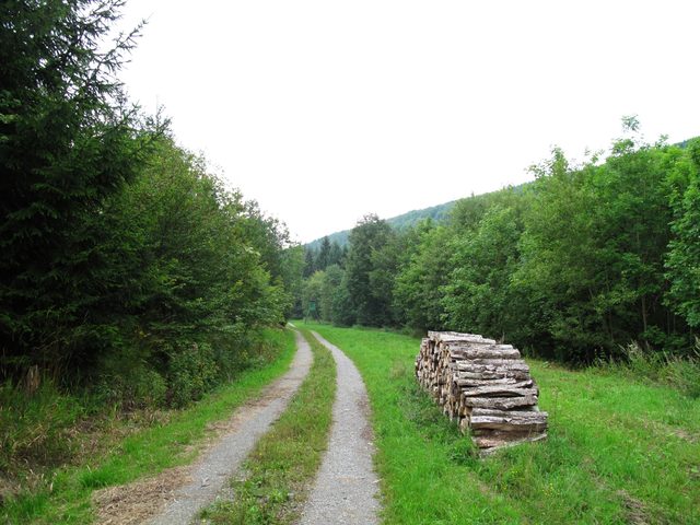 Im mittleren Katzental