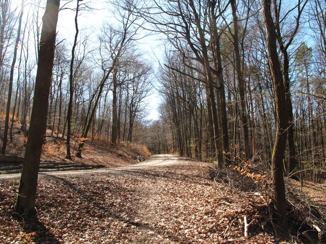 Eisberg