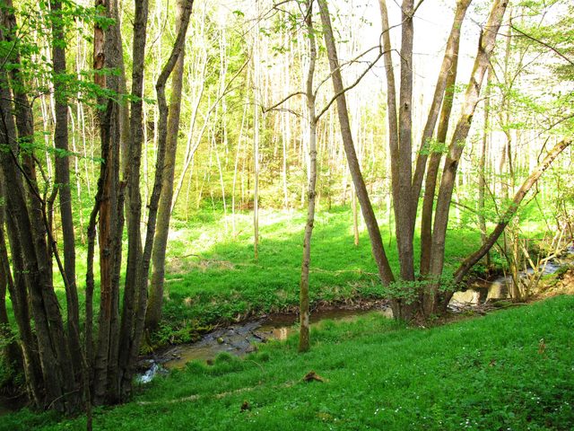 Der Otterbach