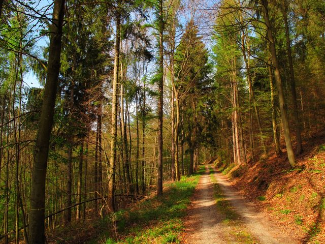 Im Büchlein