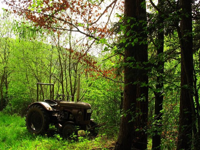 Alter Traktor im Büchlein