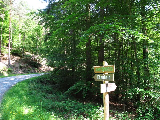 Weggabelung Eichenbühl - Ebenheid (Amtsweg) am Haidenraingraben zwischen Wannenberg und Höheberg