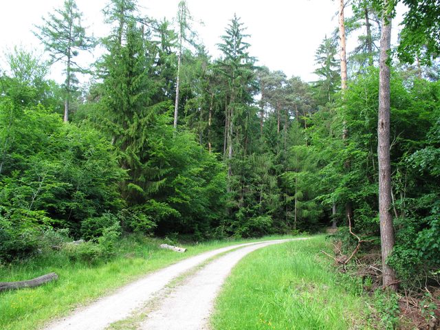 Zwischen Wannenberg und Wannenhöhe