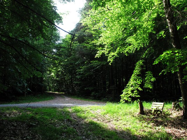 Verwitterte Bank auf dem Wannenberg