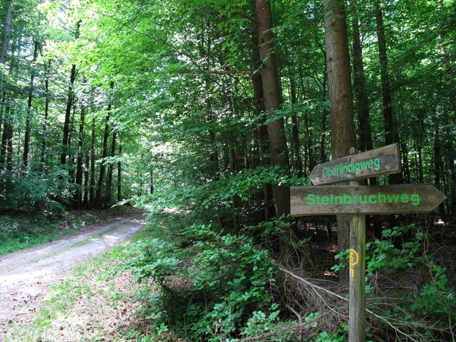 Kreuzung Oberlindigweg - Steinbruchweg