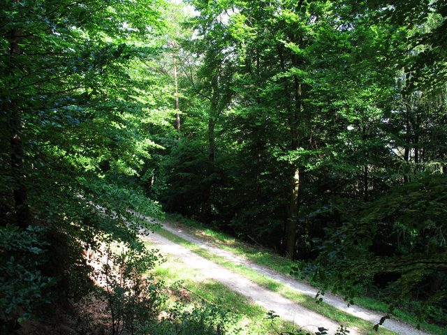 Am Wannenberg