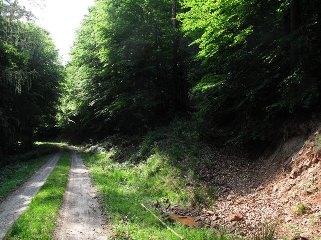 Am Wannenberg