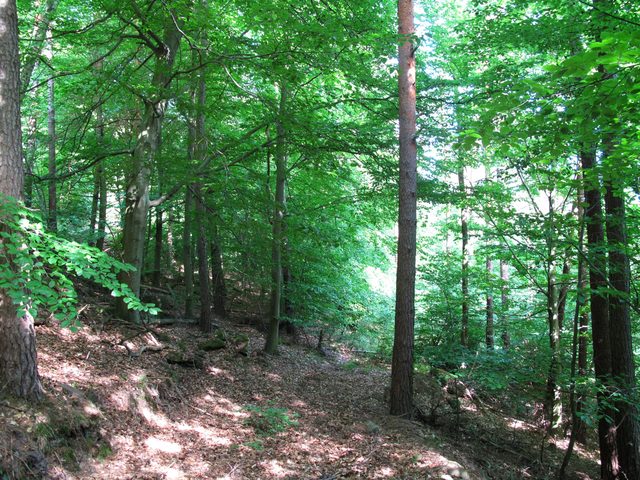 Am Wannenberg