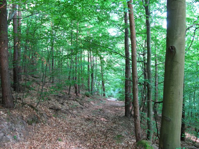 Am Wannenberg