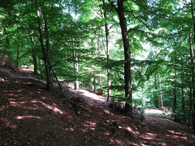 Am Wannenberg