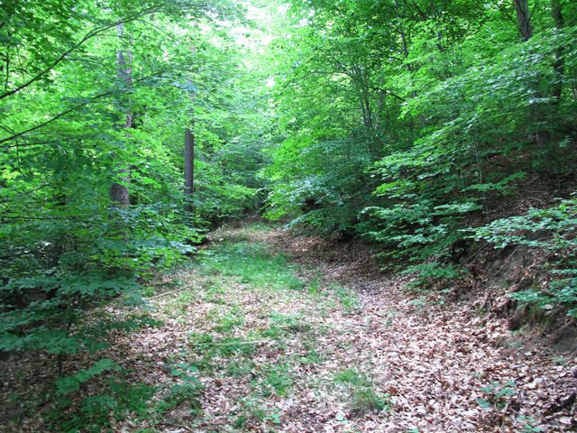Am Wannenberg