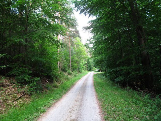 Auf dem Amtsweg am Wannenberg