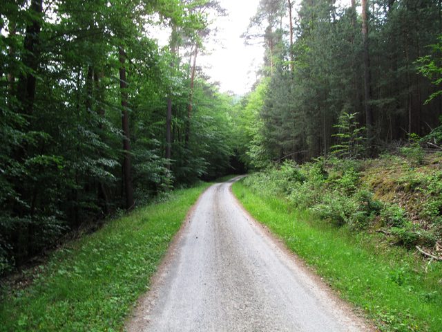 Auf dem Amtsweg am Wannenberg