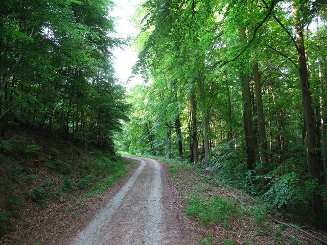 Auf dem Weg in die Hölle