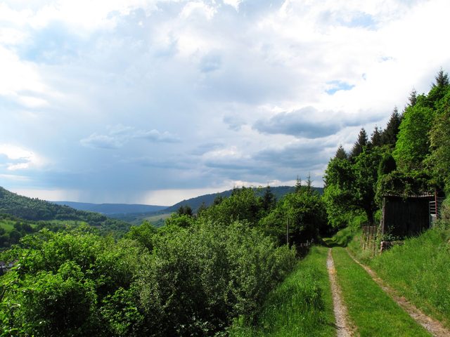 Blick vom Oberen Weinbergweg Richtung Maintal