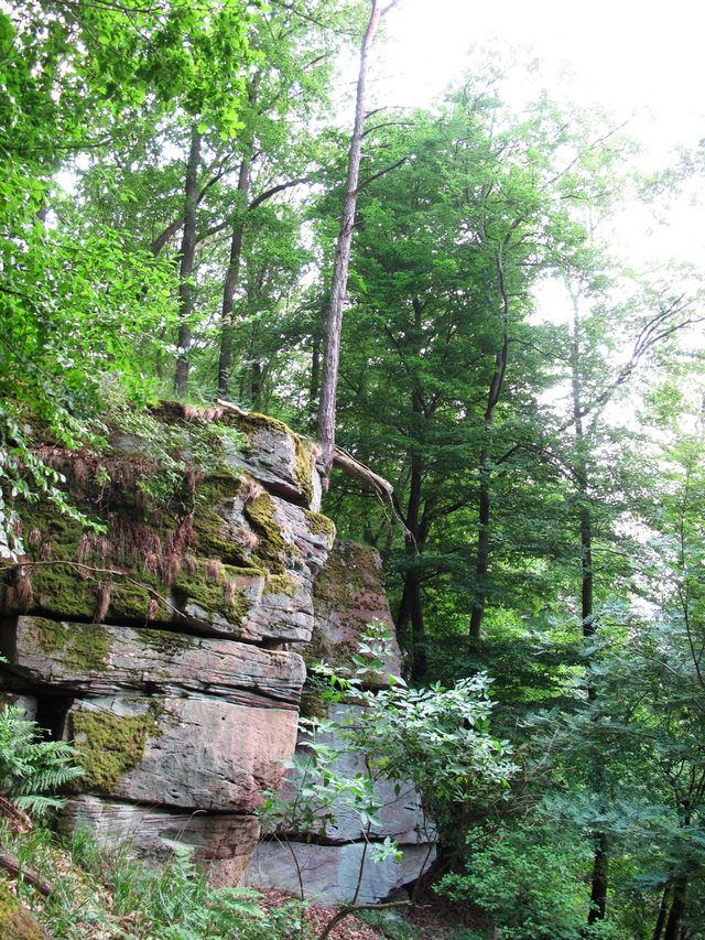 Der Hohe Fels