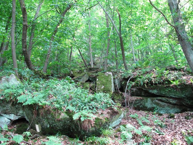 Freudenberger Felsenmeer