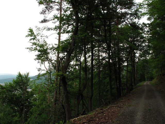 Zwischen Räuberschlößchen und Freudenburg