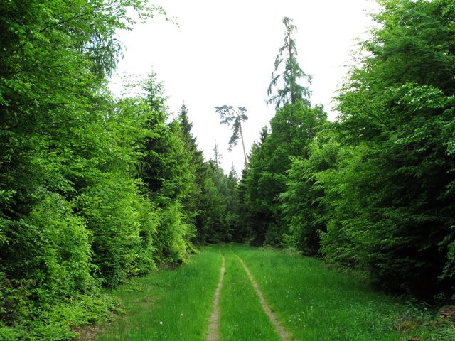 Münch/ Klapperhäuser Acker