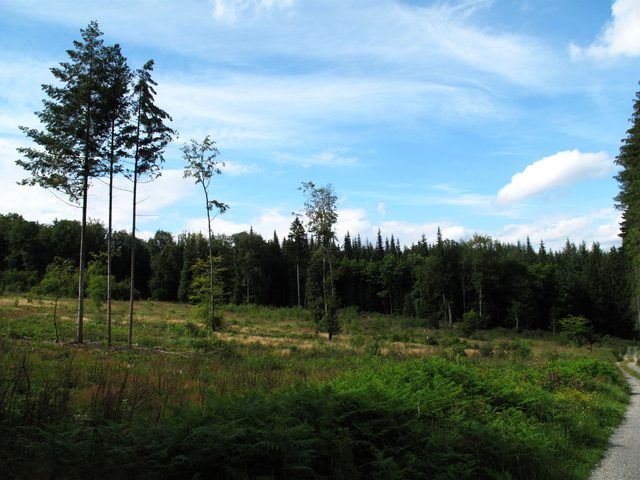 Heumahden