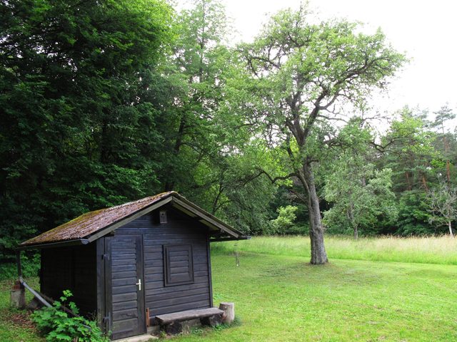 Hütte am Rande der großen Lichtung auf dem Hohlen Berg (Holleberg)