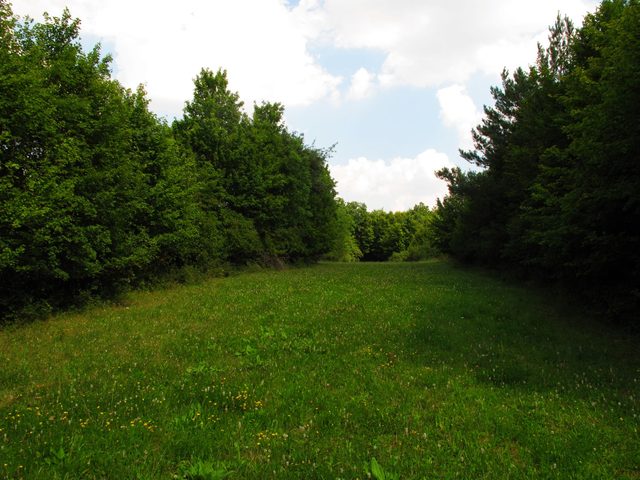 Im Hag (Große Lichtung im Eichwald)