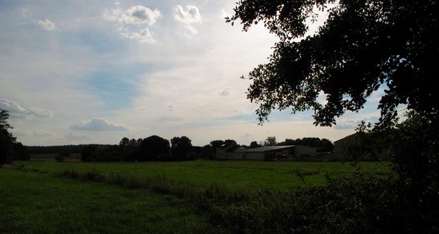 Blick nach Neidelsbach