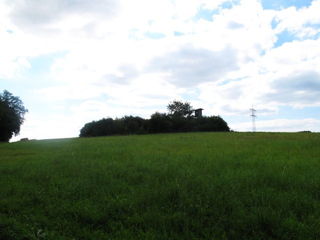 Auf dem Wanzenberg