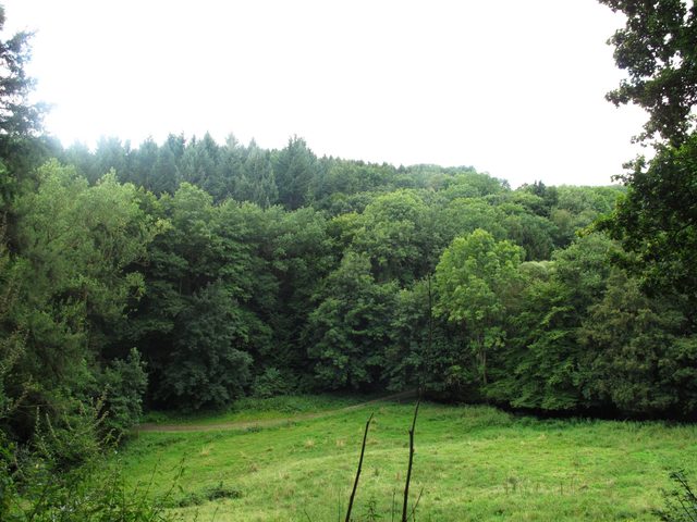 An der Holderrainklinge